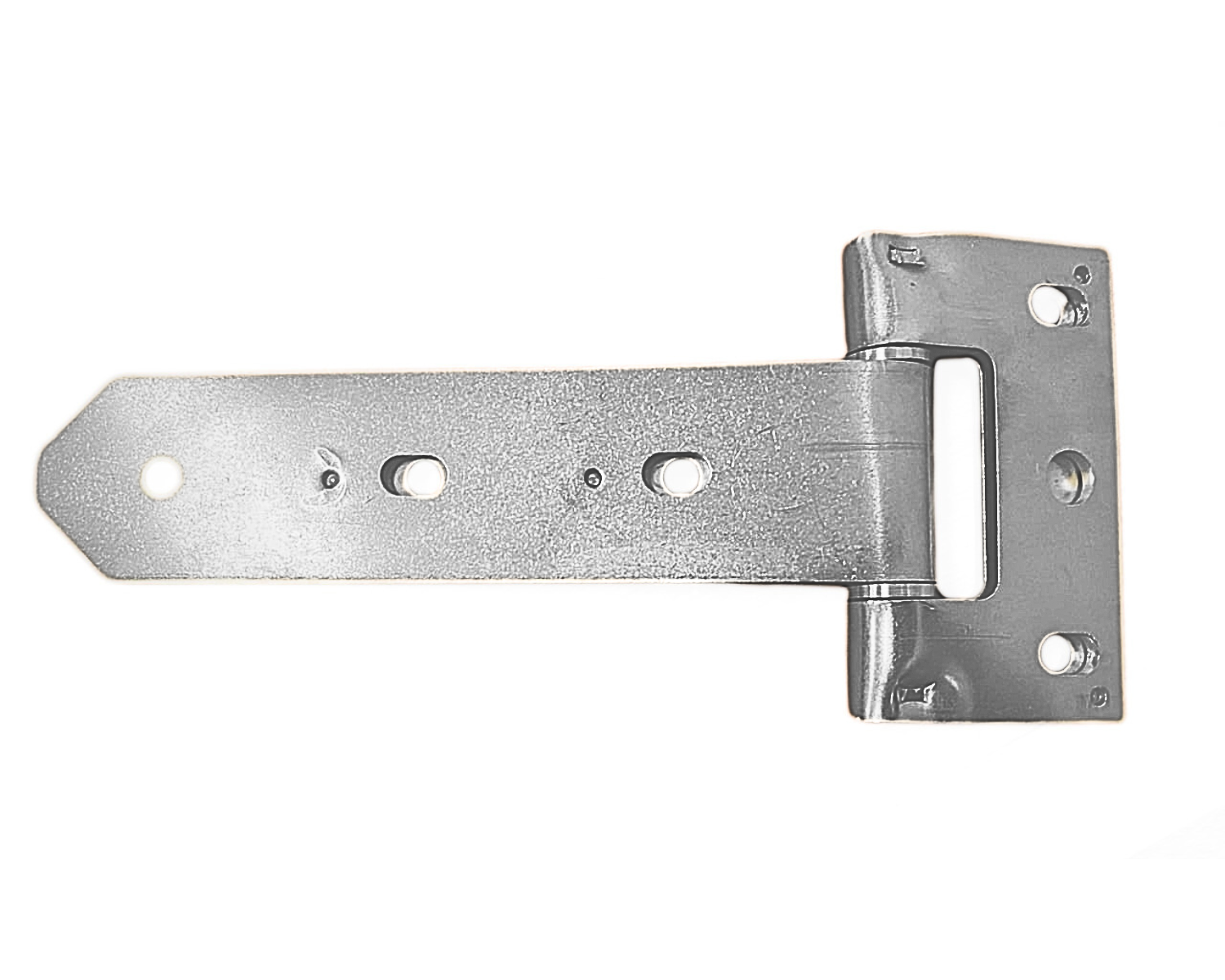 Stainless Steel Hinges